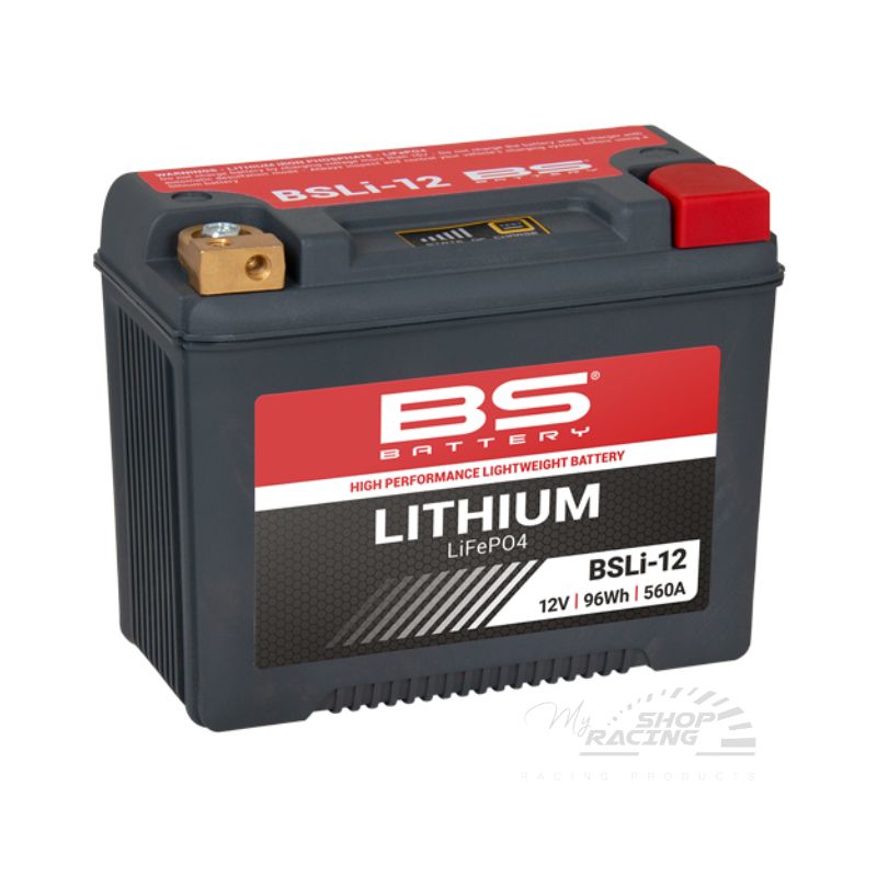 BATTERIE AU LITHIUM BSLi-12